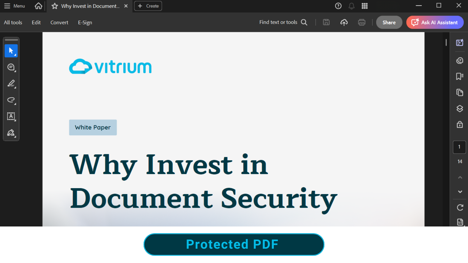 A document viewed in Vitrium's protected PDF file with Adobe Reader