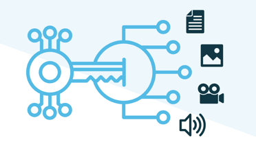 What Is DRM Software? Everything You Need To Know