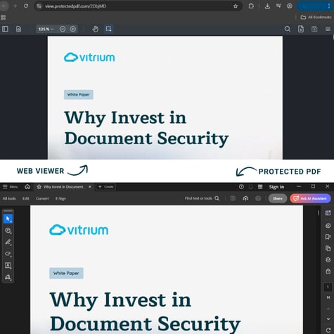 Web ViewerProtected PDF (1)