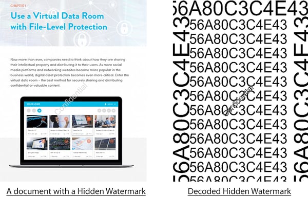 decoded hidden watermark